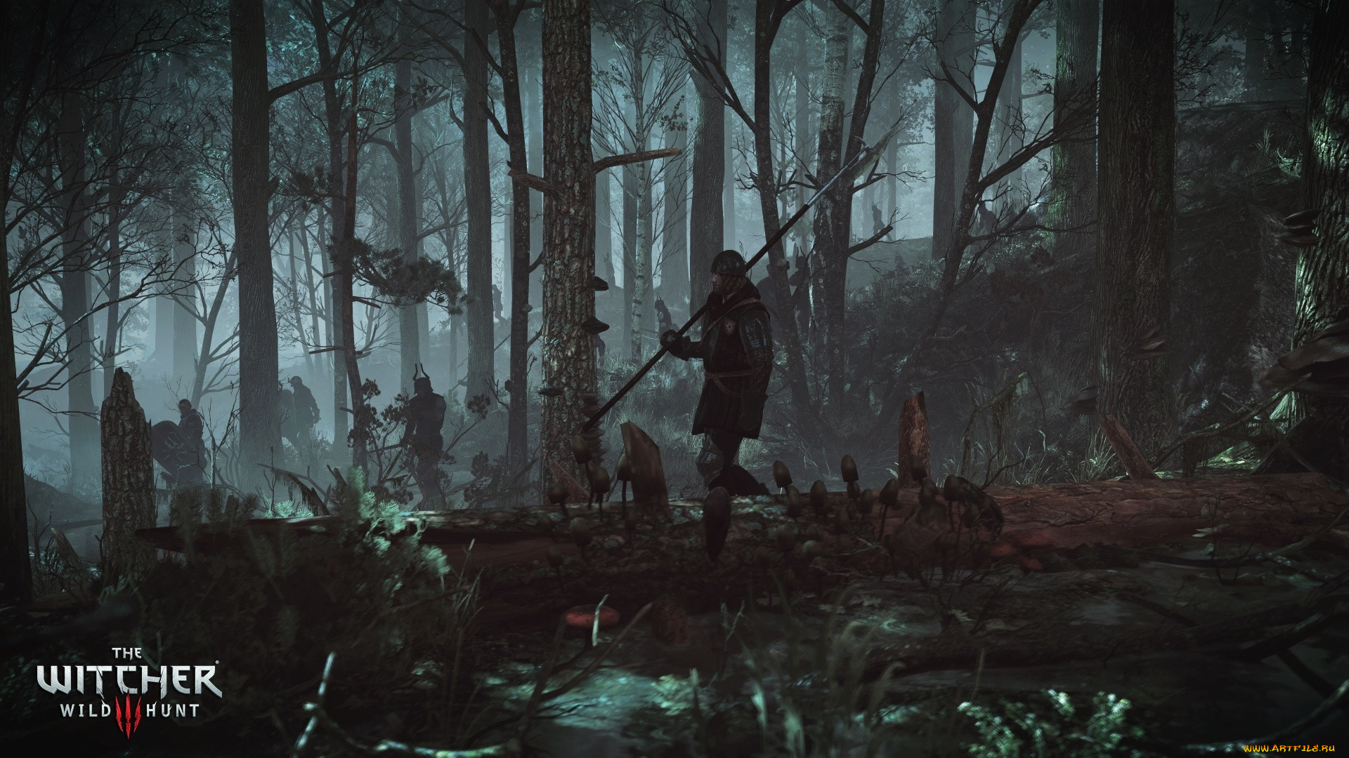  , the witcher 3,  wild hunt, , 